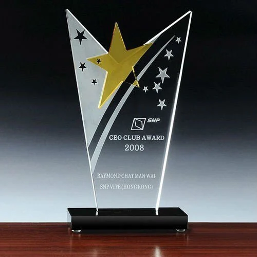 🏆 Customized Awards & Trophies